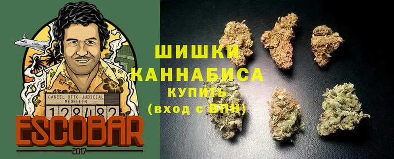 площадка формула  Вышний Волочёк  Бошки Шишки индика  купить  